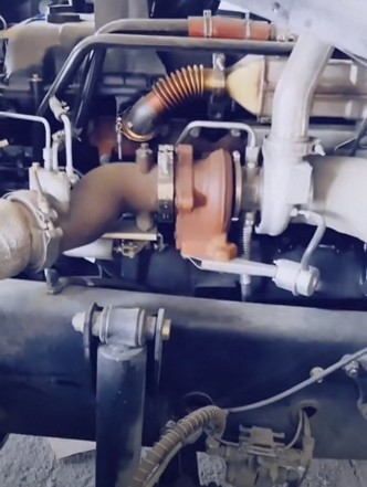 �l(f��)�әC(j��)���w̖λ��