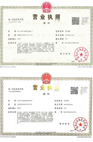 公司營業執照 公司營業執照